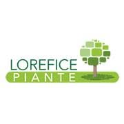 Lorefice Piante, Ragusa orari di apertura