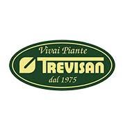 Vivai Piante Trevisan, San Vito al Tagliamento orari di apertura