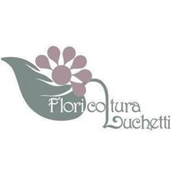 Vivaio Luchetti, Osimo orari di apertura