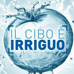 ANBI-Associazione Naz. Consorzi gestione e tutela territorio e acque irr., Roma orari di apertura