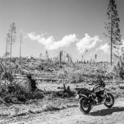 Vallisari Moto, Chiampo orari di apertura