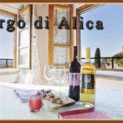 IL BORGO DI ALICA, Palaia orari di apertura