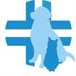 Veterinario Molino, Condove orari di apertura