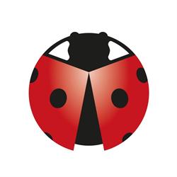 Autodemolizione Pollini Bedizzole Brescia, orari di apertura
