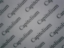 Capitolium Immobiliare, Brescia orari di apertura