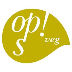 Ops Ristorante vegano, Roma orari di apertura