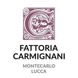 Fattoria Carmignani, Montecarlo orari di apertura