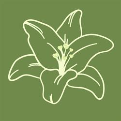 ANTOS laboratorio di cosmesi naturale, Ozzano Monferrato orari di apertura