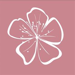 PrimoBeauty - Allenatrici di Bellezza, Monteforte d'Alpone orari di apertura
