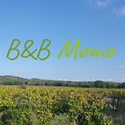 B&B Momo, Sassofortino orari di apertura