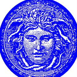 Medusa Software - Soluzioni Software per la Sanità - Healthcare Software, Lido di Ostia orari di apertura