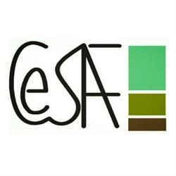 Cesaf - Studio Tecnico Associato, Masiano orari di apertura