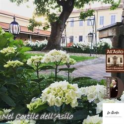 Nel Cortile dell'Asilo, Villanova Monferrato orari di apertura
