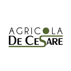 Agricola De Cesare, Torremaggiore orari di apertura