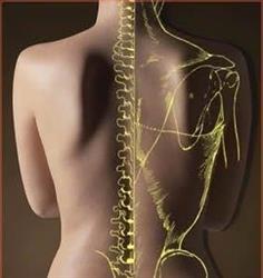Osteopatia46, Milano orari di apertura