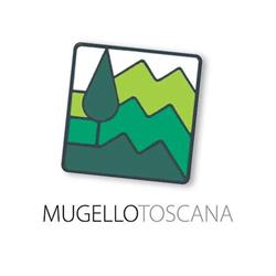 MUGELLO, Borgo San Lorenzo orari di apertura
