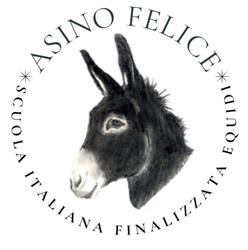 SIFE - Asino Felice - Scuola Italiana Formazione Equidi ASD APS, Villareggia orari di apertura