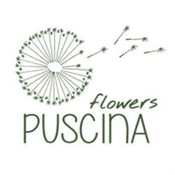 Puscina Flowers, Montefollonico orari di apertura
