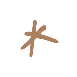 Anice - Food Digital Agency, Cittadella orari di apertura