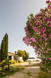 Agriturismo Finazzo, Castellammare del Golfo orari di apertura