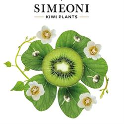 Simeoni Pericle Società Semplice Agricola, Sacile orari di apertura