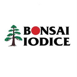 Centro Bonsai Iodice, Napoli orari di apertura