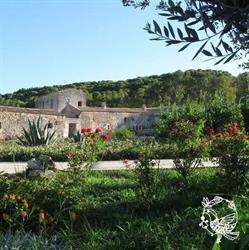 Masseria Pizzofalcone, Supersano orari di apertura