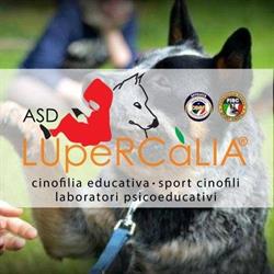 ASD Lupercalia, Cerreto Grue orari di apertura