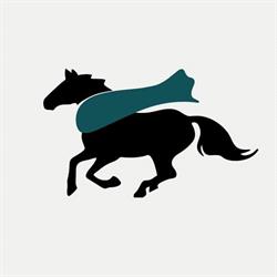Shop del Cavallo, Sesto Fiorentino orari di apertura
