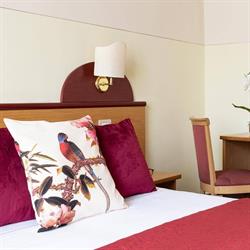 Aramis Rooms, Firenze orari di apertura