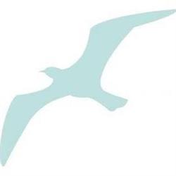 Bird Control italy srl, Firenze orari di apertura