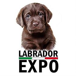 Allevamento Professionale Labrador Retriever EXPO, Modena orari di apertura