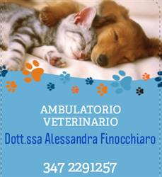 Ambulatorio Veterinario Finocchiaro Dott.ssa Alessandra, Aci Catena orari di apertura