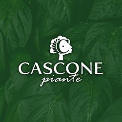 Cascone Piante, Gragnano orari di apertura