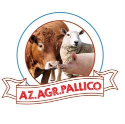 Azienda Agricola Pallico di Brunelli Massimo, Vicchio orari di apertura