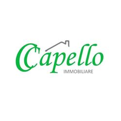 Studio Immobiliare Capello, Torino orari di apertura