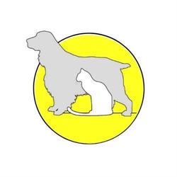 Clinica Veterinaria OL, Ardea orari di apertura