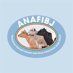 ANAFIBJ, Cremona orari di apertura