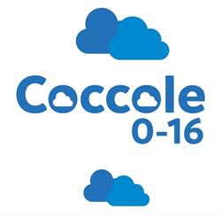 Coccole 0/16 abbigliamento bambini, Velina orari di apertura