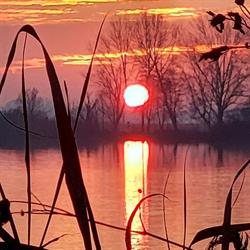 Lago Superiore / Lago Paradiso, Mantova orari di apertura