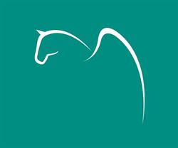 Grafiche PEGASO - Tipografia Padova, Cadoneghe orari di apertura