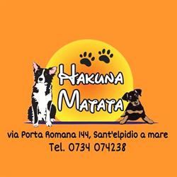 Hakuna Matata Pet Shop, Sant'Elpidio a Mare orari di apertura