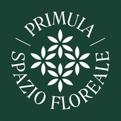 Primula Spazio floreale - Ischia, Lacco Ameno orari di apertura