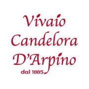Vivaio Candelora - D'arpino, Minturno orari di apertura