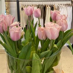 Gregori's Boutique, Creazzo orari di apertura