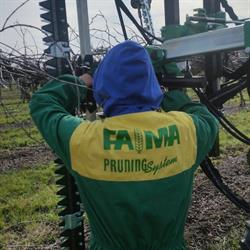 FA.MA Pruning, Sailetto orari di apertura
