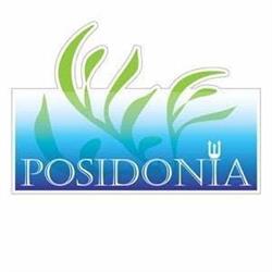 B&B Posidonia, Castellabate orari di apertura