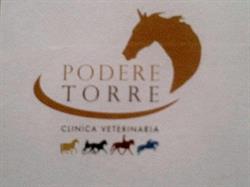 STUDIO VETERINARIO ASSOCIATO PODERE TORRE, Collecchio orari di apertura
