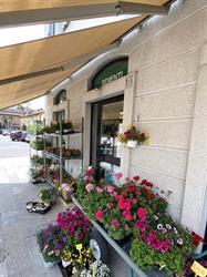Sementi Bruni & F SNC (shop), Corbetta orari di apertura