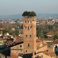 Ufficio Scolastico Ambito Territoriale di Lucca e Massa Carrara, orari di apertura